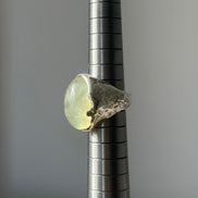 Oliva verde